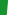 kelly green/white
