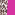 leopard/pink