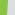 neon green/silver