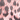 Leopard Print